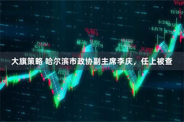 大旗策略 哈尔滨市政协副主席李庆，任上被查