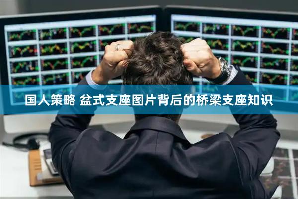 国人策略 盆式支座图片背后的桥梁支座知识