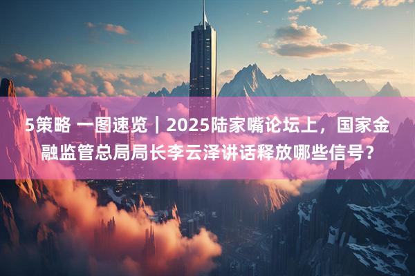 5策略 一图速览｜2025陆家嘴论坛上，国家金融监管总局局长李云泽讲话释放哪些信号？