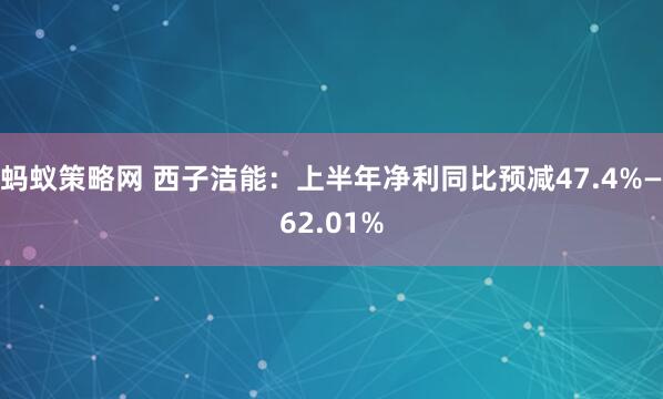 蚂蚁策略网 西子洁能：上半年净利同比预减47.4%—62.01%